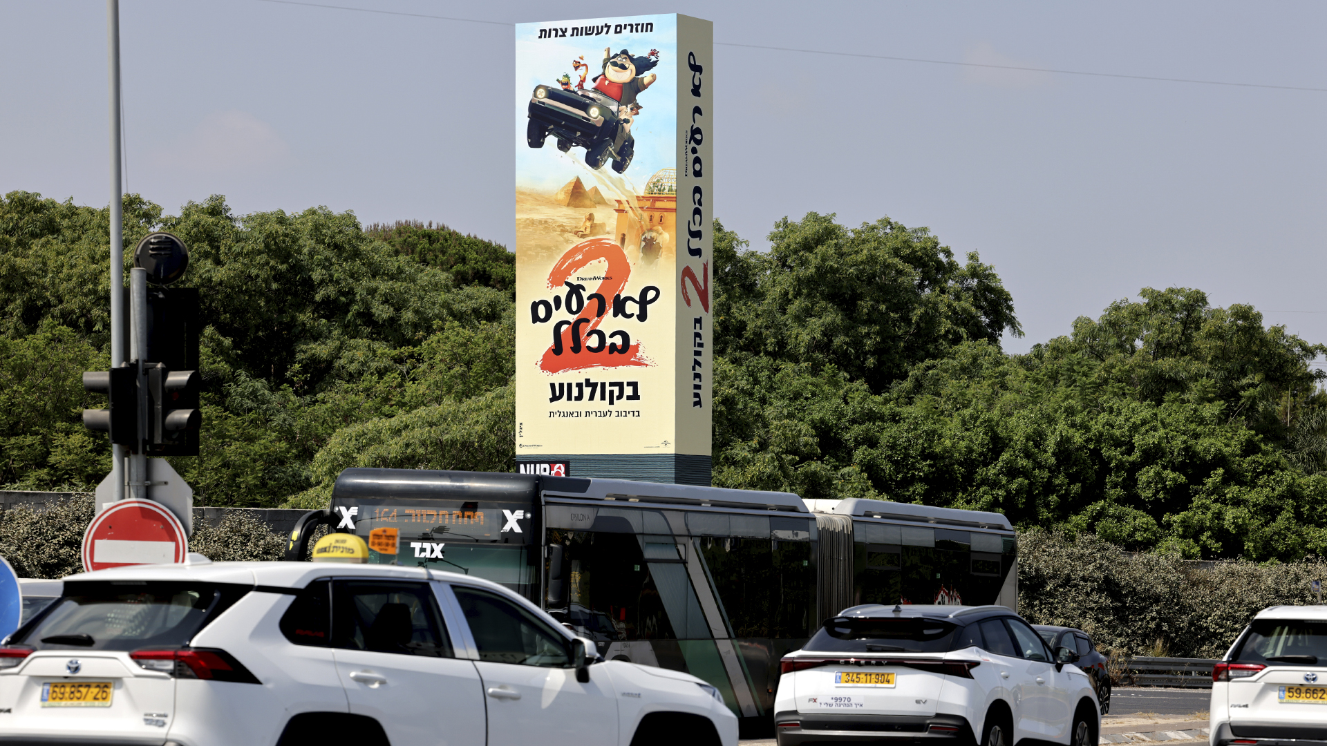 קמפיין טוליפ | תל השומר 781