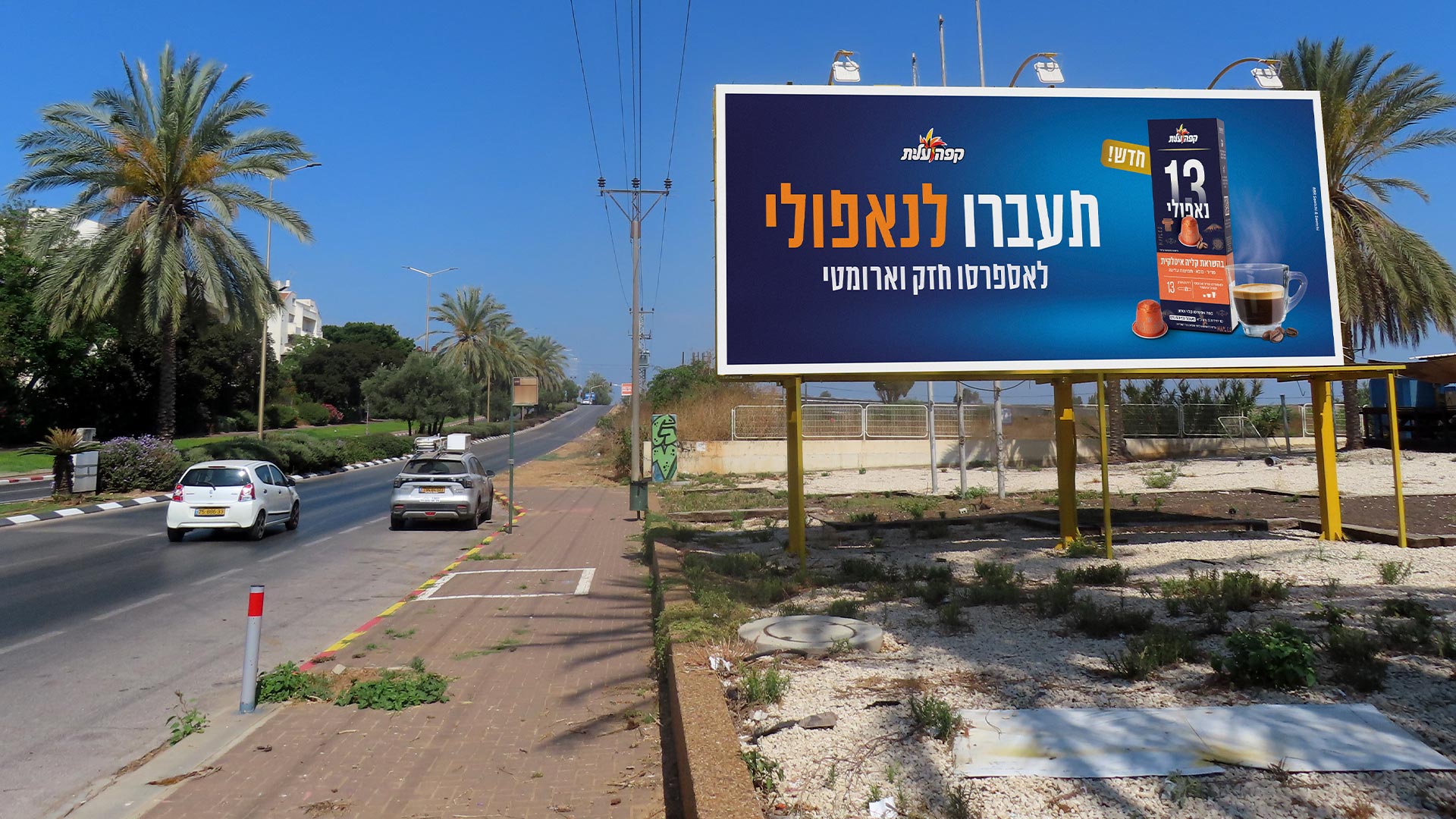 קמפיין שטראוס | שרונים 234