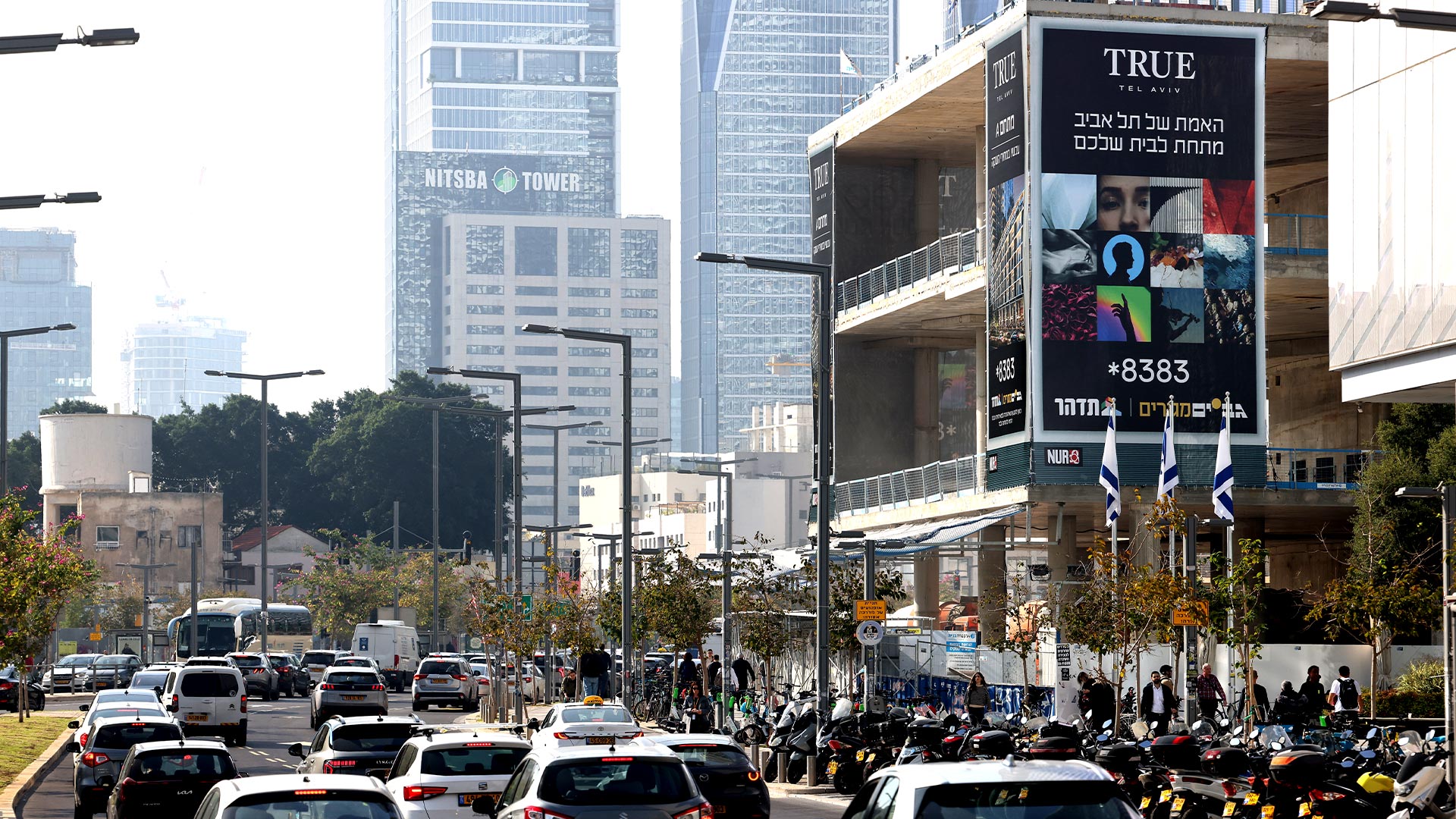 תמונה של  שרונה | 480